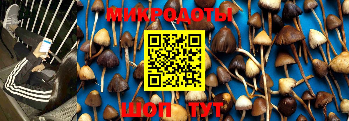 Псилоцибиновые грибы GOLDEN TEACHER  Вход с VPN  Сургут  Галлюциногенные грибы Cubensis 